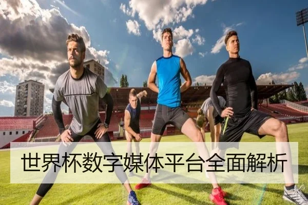 世界杯数字媒体平台全面解析