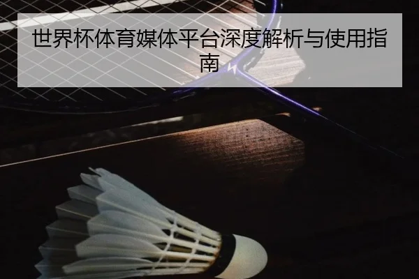 世界杯体育媒体平台深度解析与使用指南