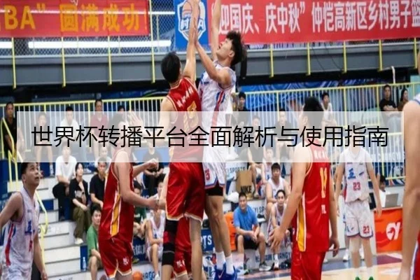 世界杯转播平台全面解析与使用指南