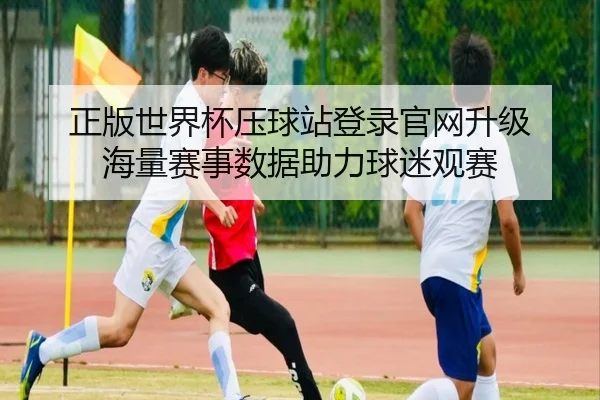 正版世界杯压球站登录官网升级 海量赛事数据助力球迷观赛
